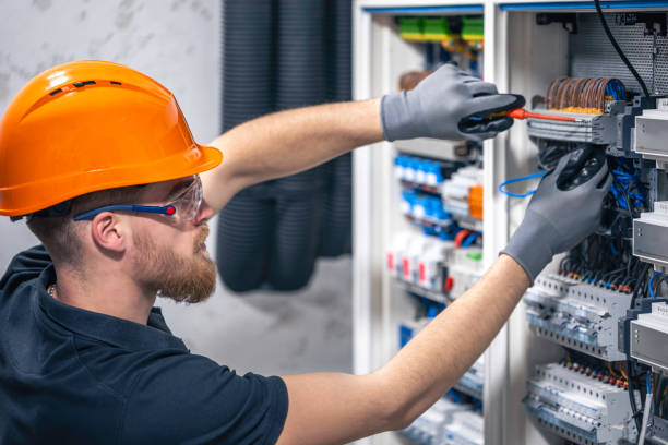 Best Local Electrician Companies  in Panacea, FL